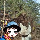 문화유산여행길(1코스) | 거창 성령산 -수승대 둘레길 출렁다리 / 문화유산여행길