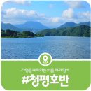 [청평 호반] 대한민국 수상 레저의 요람이자 메카, 가평 제1경 청평 호반의 여름 풍경(2026)