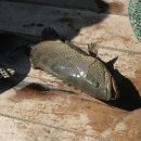 하나여행사 이미지