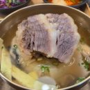가우가 | ​[춘천 맛집] 인생 맑은 곰탕, 우두동 춘천 가우숲 솔직 후기