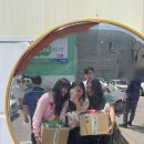 호명나루165풀빌라