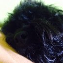 꽃게맨꽃게걸 | 외식으로 다녀온 !!! 간장게장,양념게장이 무한리필 ? 꽃게맨꽃게걸 후기를 써보겠습니다?_? 들어와보이소~