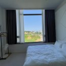 강릉댕댕이애견펜션블루 이미지