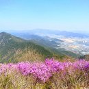 봉도농장 이미지