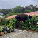 산속닭곰탕 이미지