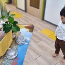 보람아트브레인어린이집 이미지