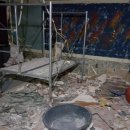 위즈피시방 이미지