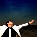 레몬트리 이미지