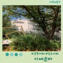 이에르바 이미지