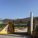 맹수 농장 | 아이와 함께 여행 추천 |강릉 쌍둥이 동물농장 | 입장료 9천원