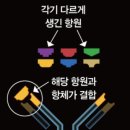 포바디짐 이미지