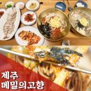 봉평복지회관 | 제주현지인맛집 세화막국수 메밀의고향 구좌세화점