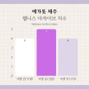 다도농장 | 에가톳 제주 웰니스 센터, 캐빈 예약 가격 후기