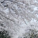 안산탑항공