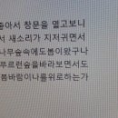 팔금산 이미지