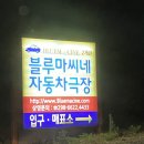 울산 자동차 극장 블루마씨네 이용 꿀팁!