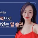 라이브사랑벌 이미지
