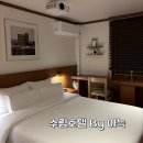 강원도 속초 레트로 감성 숙소 수림호텔 바이 아늑 가성비 추천 객실