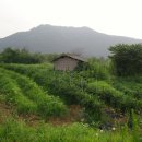 동강2리 이미지