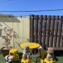 멍아일랜드 이미지