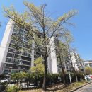 판암동202 이미지