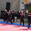 검무합기도 이미지