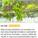 나트랑(냐짱) 산티아고 사막 판랑투어 시간별 리얼 후기!