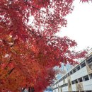 연오농장 | 2025-12월 1호