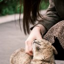 아이튼튼동물병원 이미지