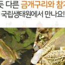 소리탐구생활 이미지