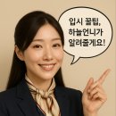 청담승무원학원 이미지