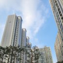 장산남로 이미지