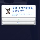 플레이38