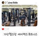 디지털정비 | 24시간 가산헬스장 에이펙스 휘트니스 가산디지털단지점