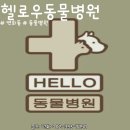 헬로우 동물병원 이미지