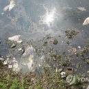 신곡배수펌프장 이미지