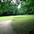 부소산성 서복사지 이미지