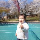 반월공원 네이버블로그