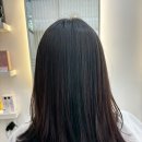 포유헤어 이미지