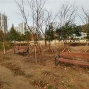 군산자양중학교 이미지