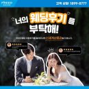 프리드 라이프 웨딩