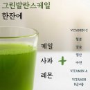 그린풀녹즙 | 그린발란스케일 착즙주스 시골내음 클렌즈주스 후기