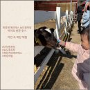 농도원목장 | 목장계의 에르메스, 농도원목장 아이와 방문 후기