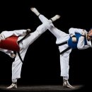 가동태권도 이미지