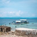 세부 모알보알 이동 세부 오슬롭 투어 행복후기