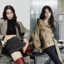영앤리치 이미지