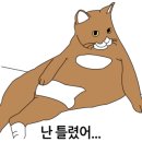 지경희동물병원 이미지