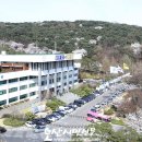 파발로 이미지