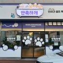 만족하개 이미지