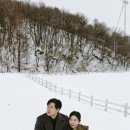 윤목장 | [강릉] 198스냅 삼양목장 + 스튜디오 촬영 웨딩스냅
